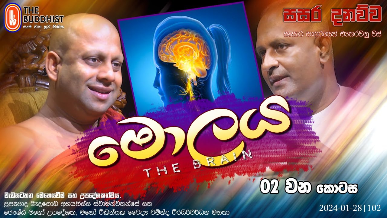 Sasara Danauwa | සසර දනව්ව (මොලය - The Brain | 02 කොටස) 2024-01-28