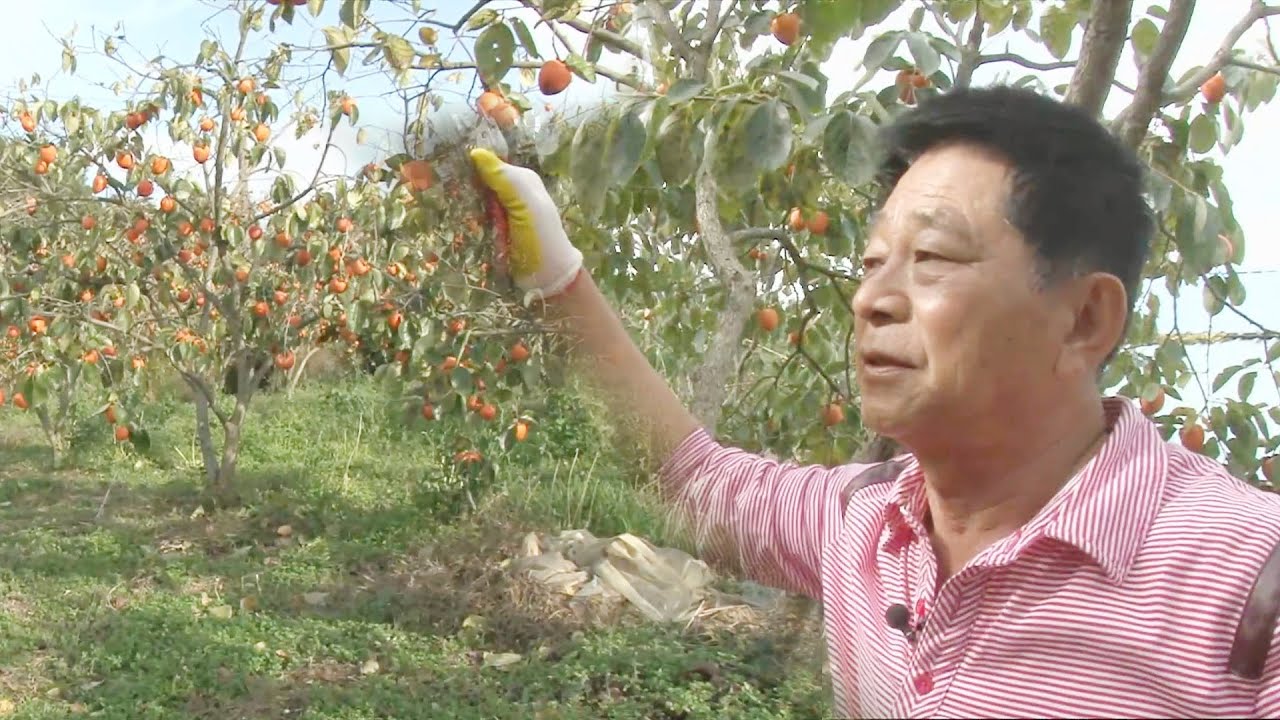 귀농 꿈꾸는 고령자 위한 노후 준비 '농지연금' (마이그린라이프) @좋은아침 4729회 20151117