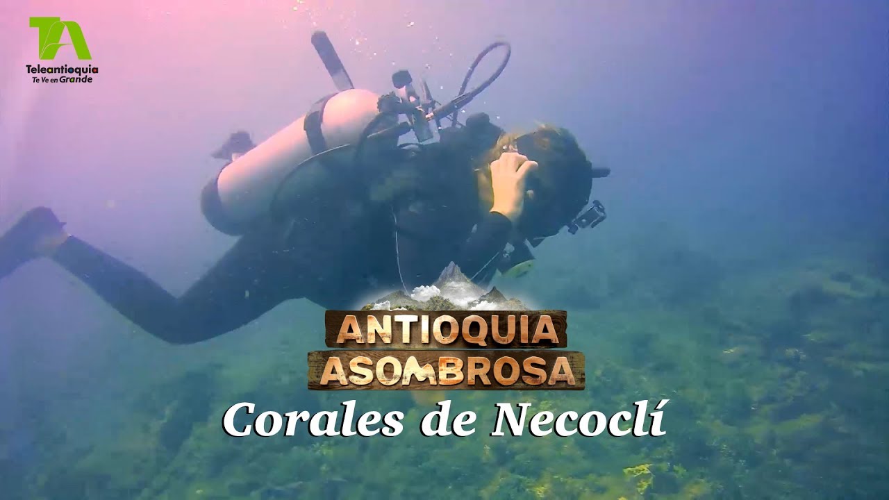 Antioquia Asombrosa, Corales de Necoclí - Teleantioquia