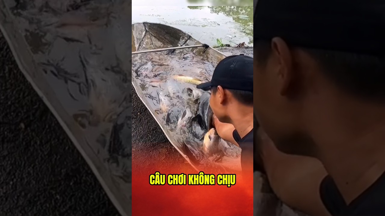 Владелец пруда по ошибке поддразнил не того человека. #lkhoa #cauca #fishing #shorts