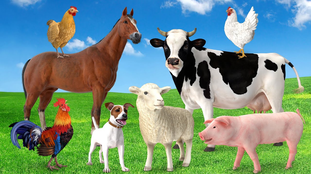 20 min Farm Animals for Kids Animal name and sound Learn animals