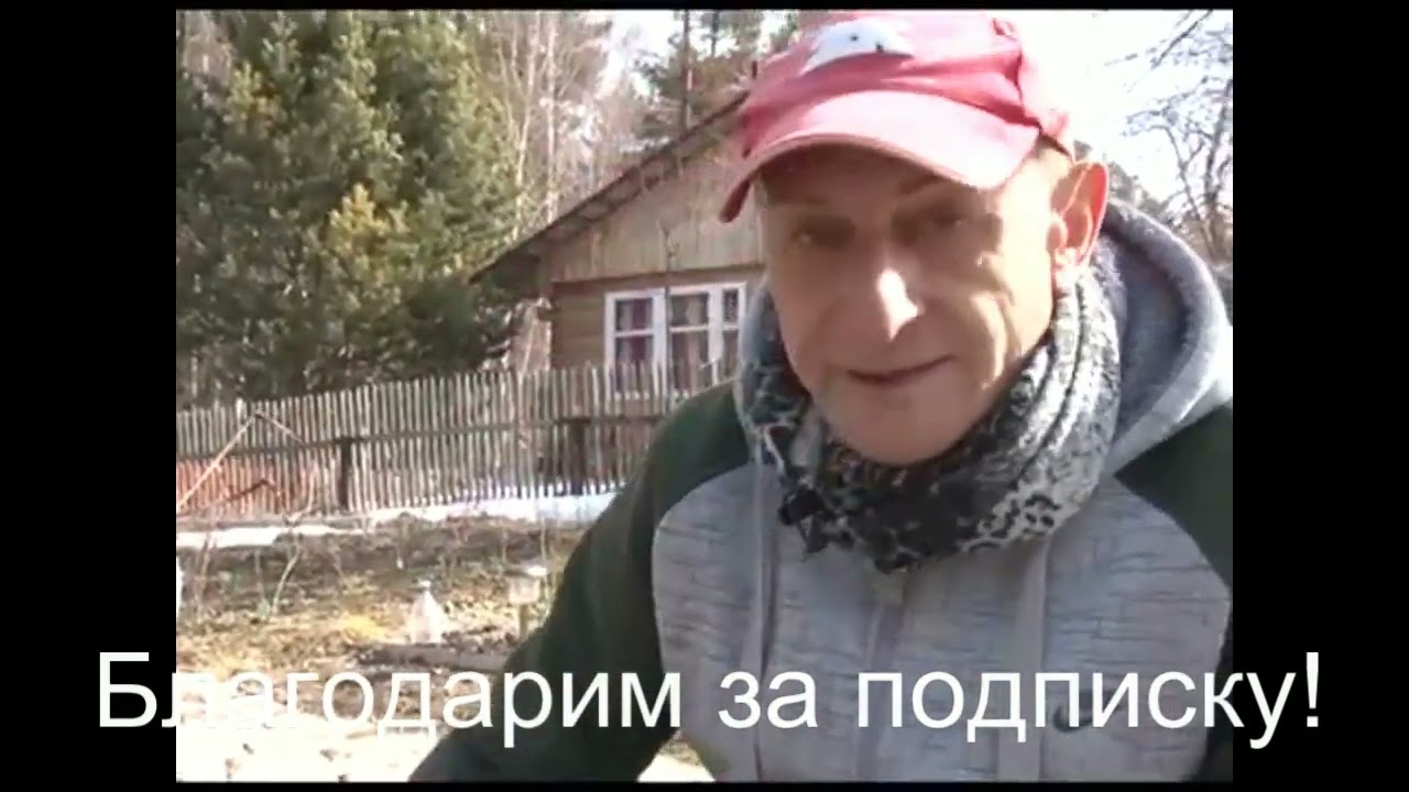Первые работы в саду весной
