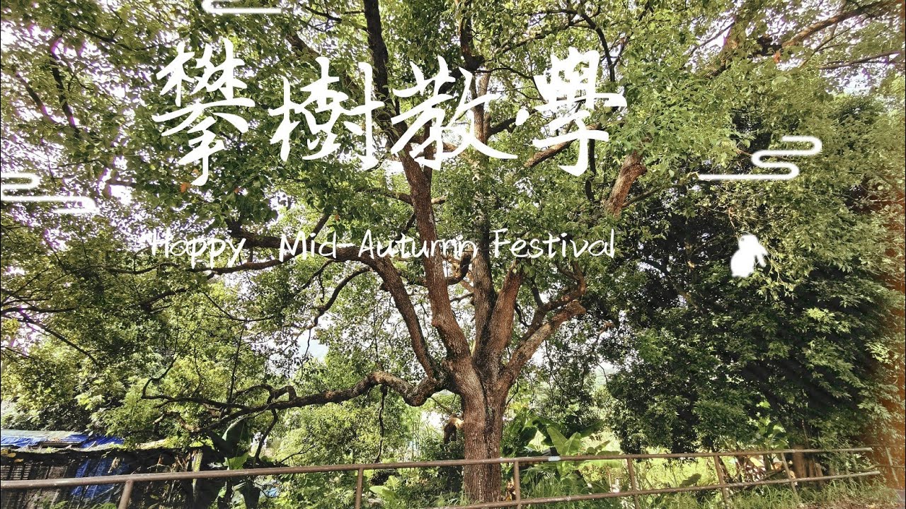 攀樹基本技巧全過程✌️petzl zipzag版 - ddrt攀爬練習