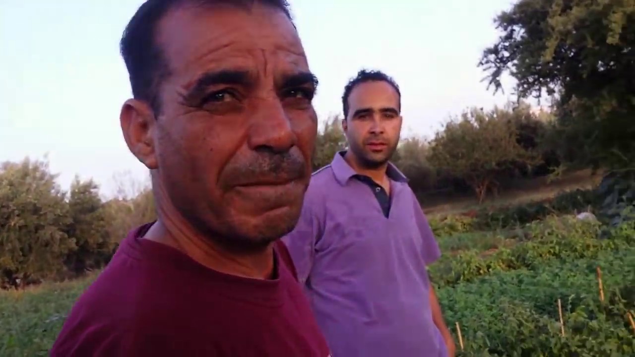 طريقة جميلة وإقتصادية في سقي '' الفصة'' بنواحي أوناغة