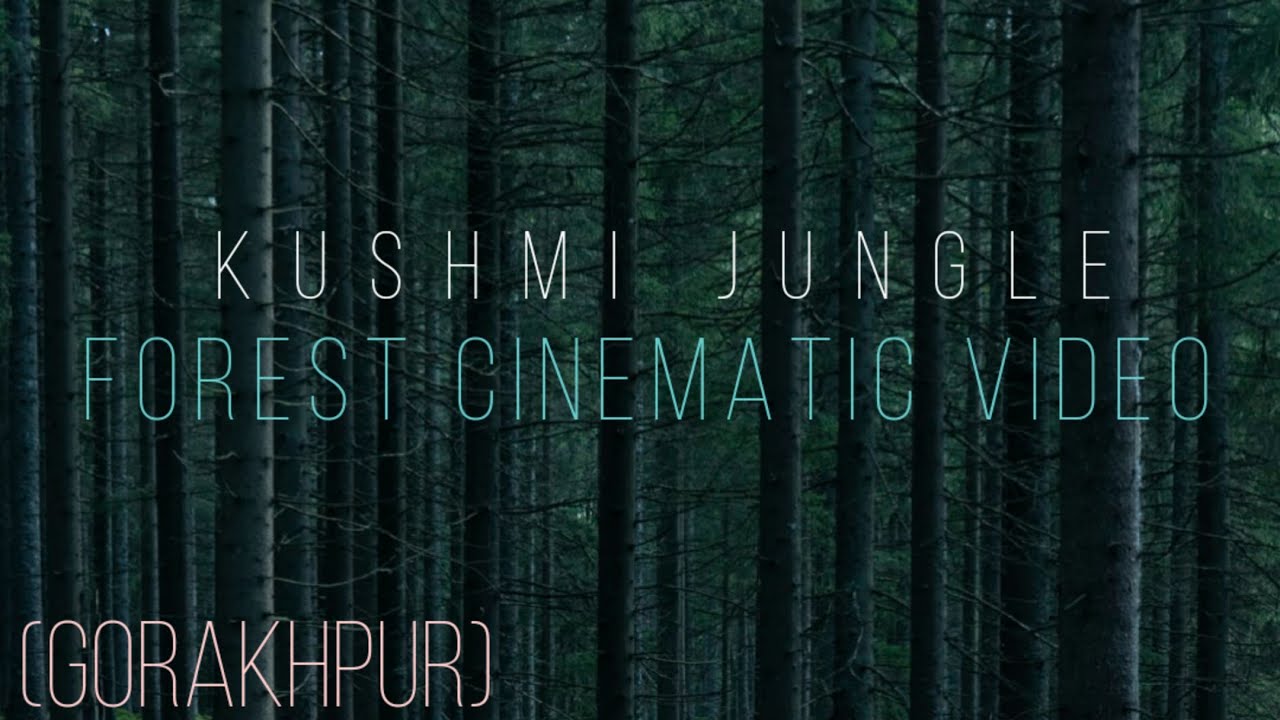 Kushmi jungle | Gorakhpur | Forest Cinematic Video | Anurag