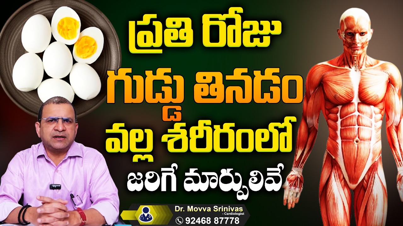 Dr  Movva Srinivas - గుడ్లు తినేవారు చచ్చిన ఈ తప్పు చేయకండి || Health Benefits of Having Boiled Eggs