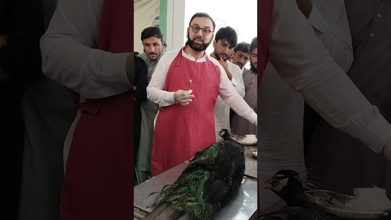 🐔 Infectious Coryza in Poultry | Symptoms, Treatment & Prevention Explained by Dr. ALAM ZEB KHAN