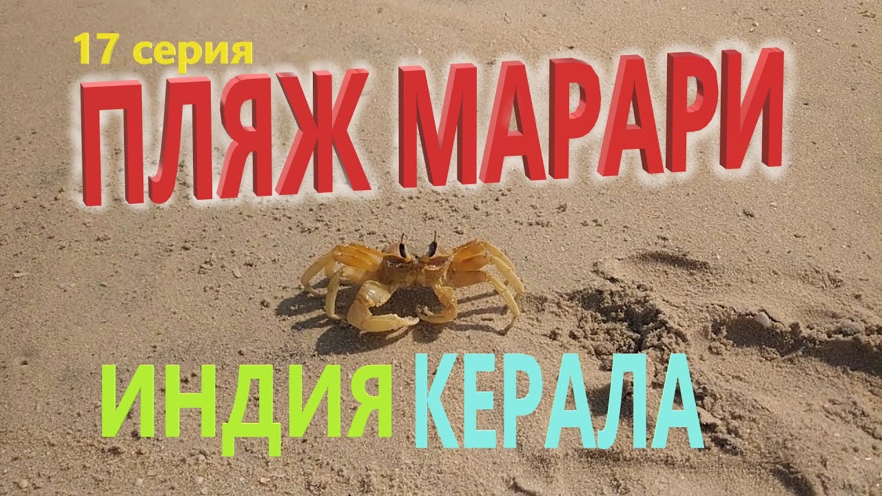 # 17. Индия. Керала. Обзор пляжа Марари (Marari)
