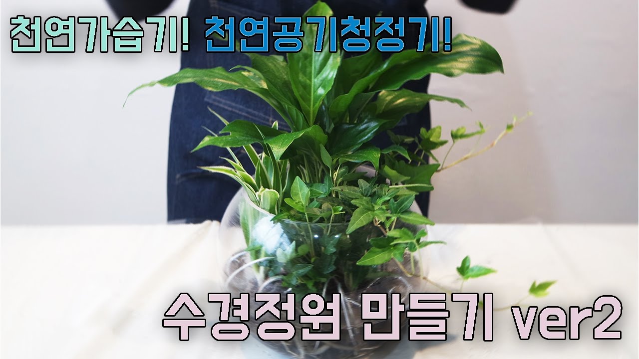 천연가습기! 천연공기청정기! 수경정원만들기 ver2