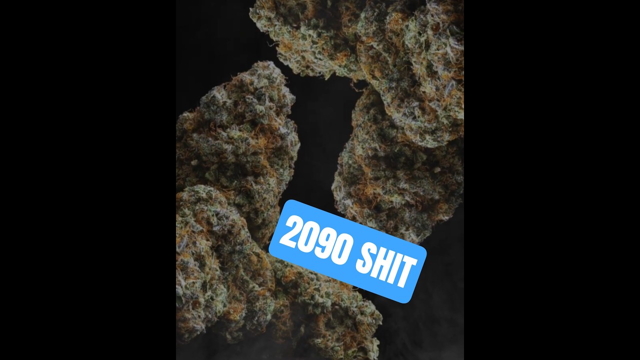 2090 SHIT Dry Flower  #cannabisstrains #cannabiseducation #cannabiscultivation