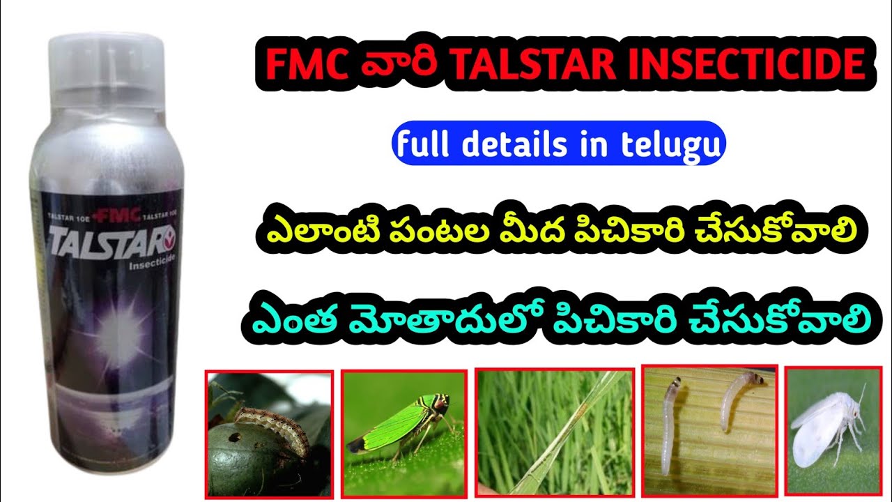 Bifethrin 10% Ec | FMC talstar insecticide in telugu
