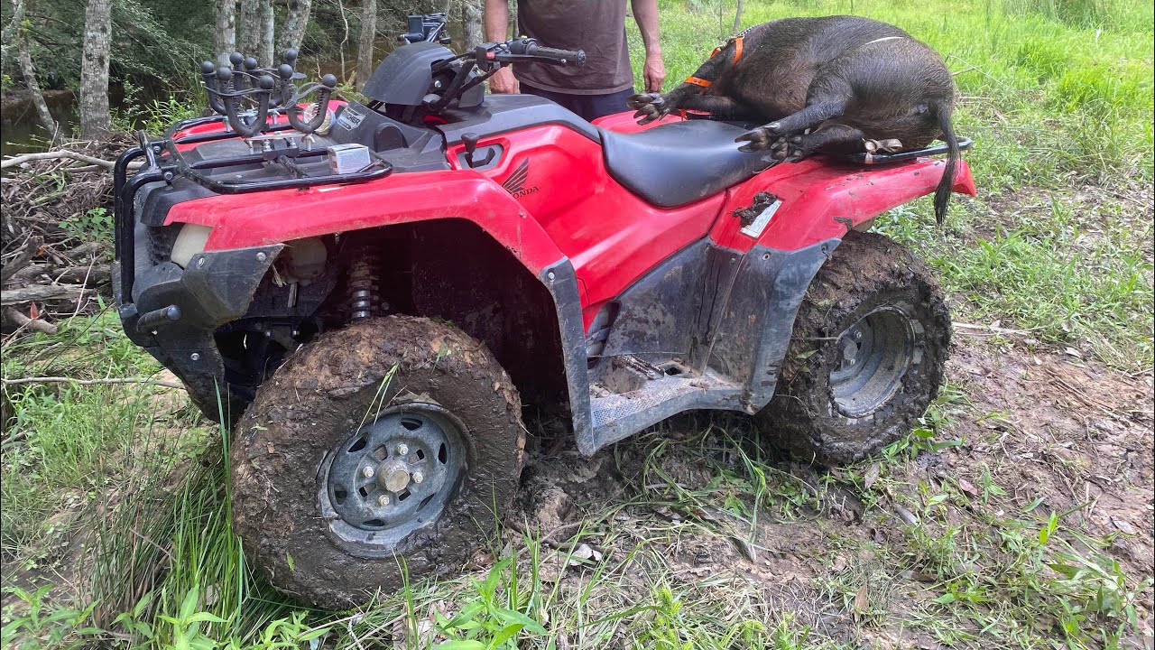 2017 Honda Rancher 420 oil change