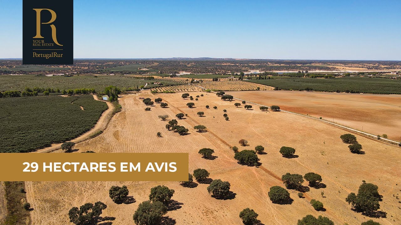 Quinta com 29 hectares em Avis para venda | REF. 788-22