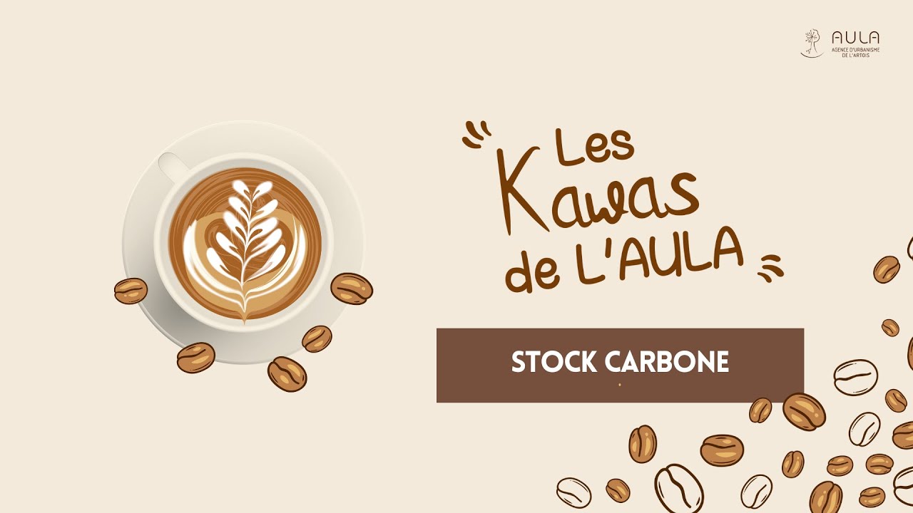 (REPLAY) KAWA   Stock Carbone