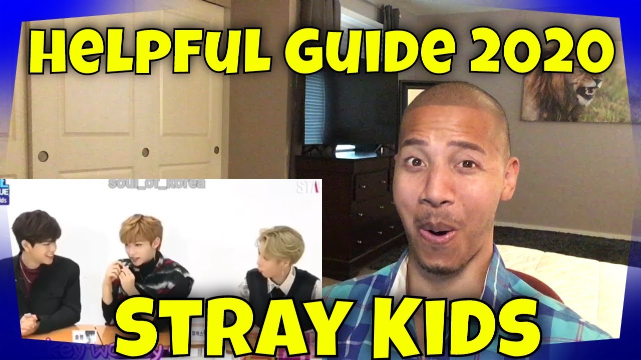 A Helpful Guide to Stray Kids 2020 (Reaction)