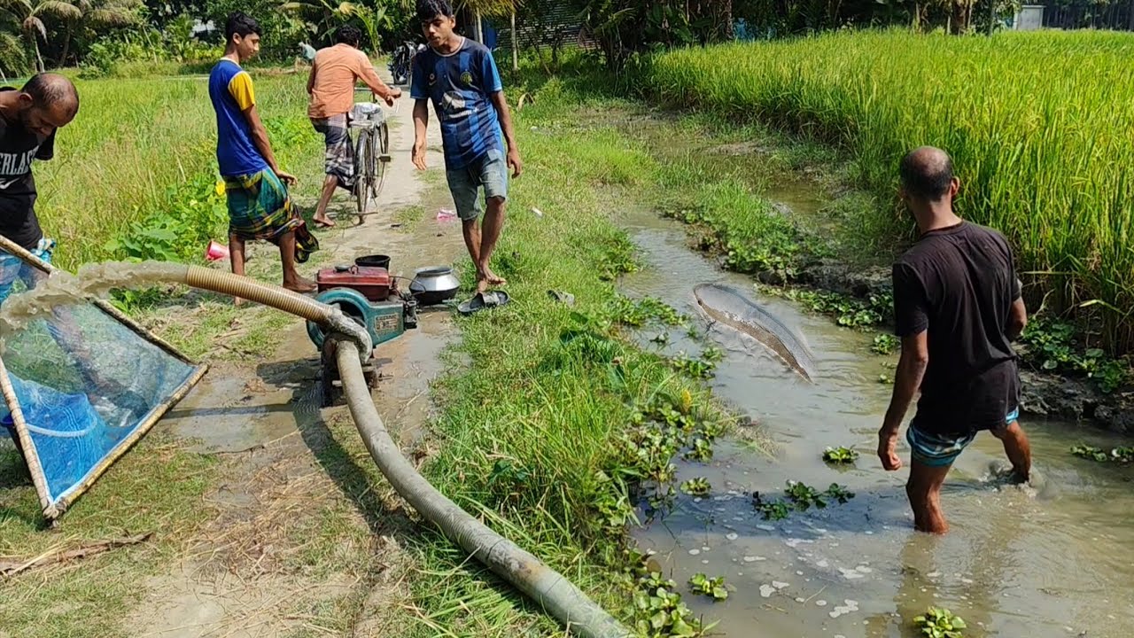Best Pump Fishing Technique 🐟 Natural Fishing Video 🐟 Traditional Village Fishing 🐟 Fishing Video 