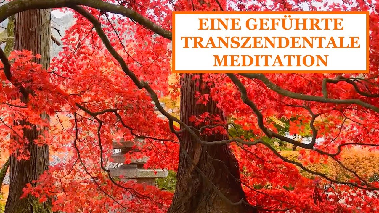 EINE GEFÜHRTE TRANSZENDENTALE MEDITATION