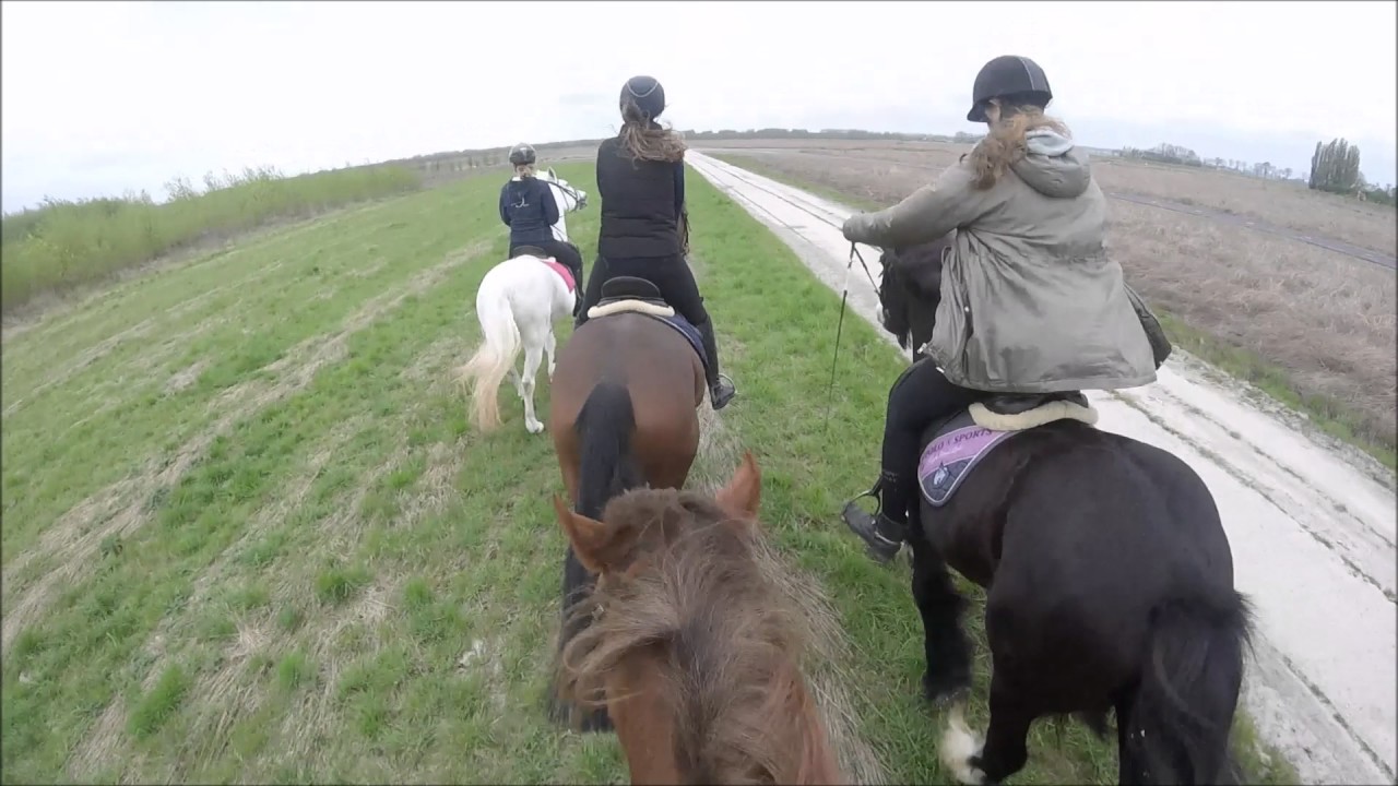Buitenrit Manege Bentwoud