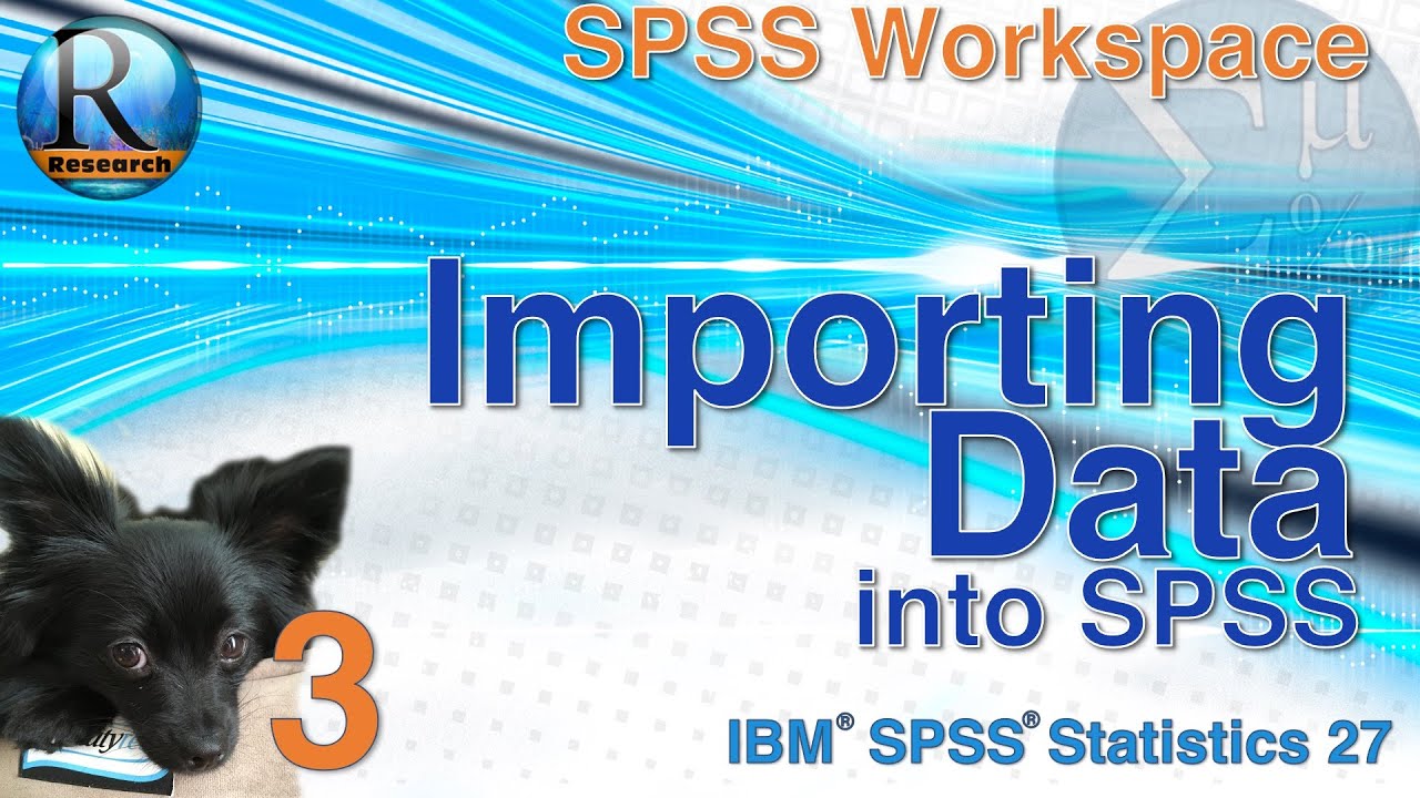 Импорт данных в SPSS 27 — Статистика с SPSS для начинающих (с щенками) (3 из 8)
