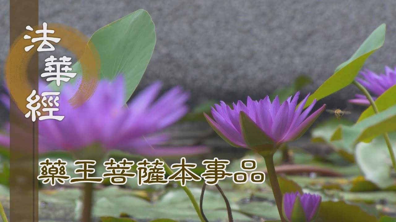 【靜思妙蓮華】 法華經 藥王菩薩本事品 - 付囑住持 流通後世 - 第1832集 20241219