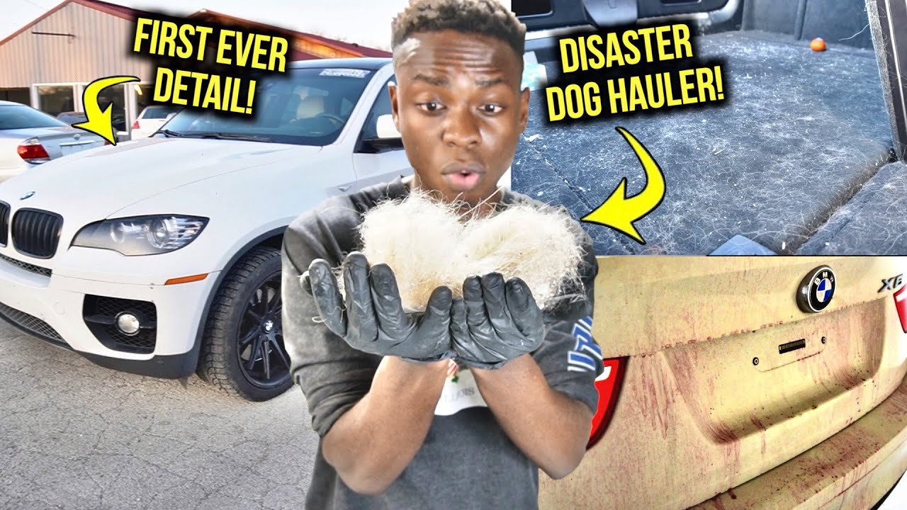 Satisfying Car Detailing DISASTER DOG HAULER | First Ever Detail - BMW X6!