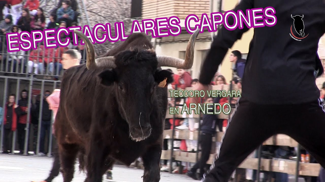 😧 ESPECTACULARES CAPONES. Teodoro Vergara en Arnedo (17-3-23)