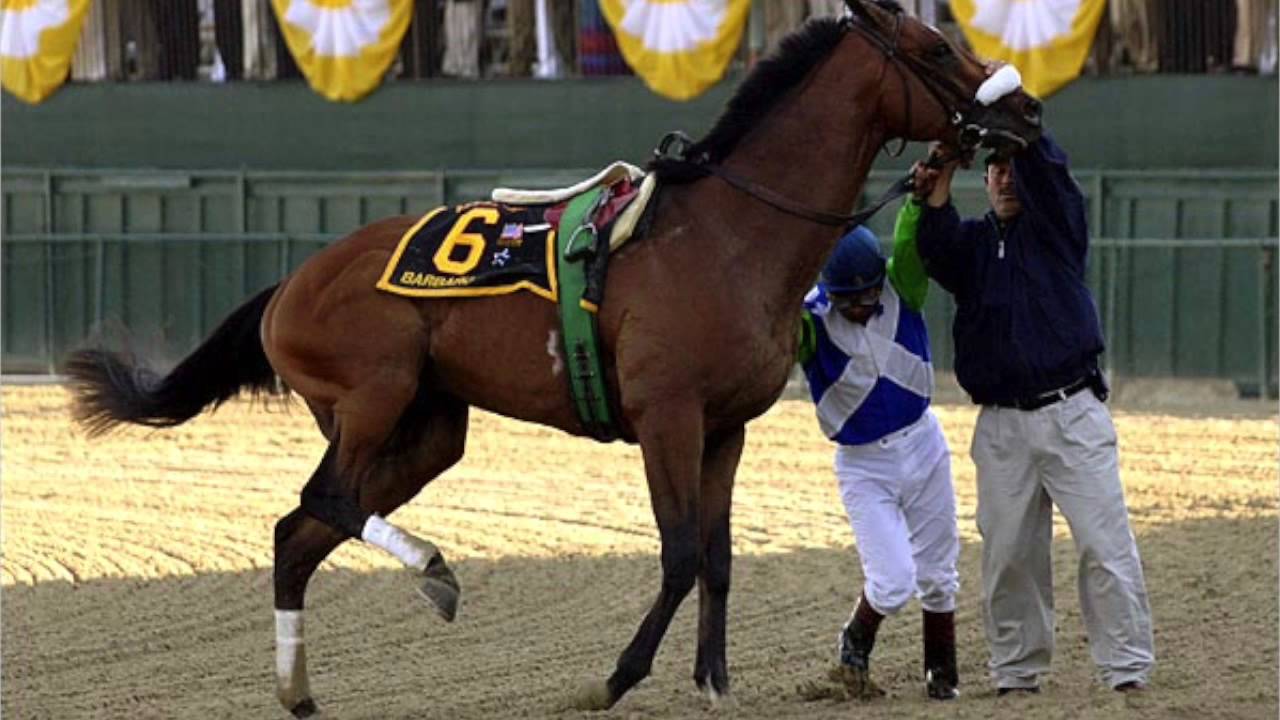 Ethics of Horse Racing