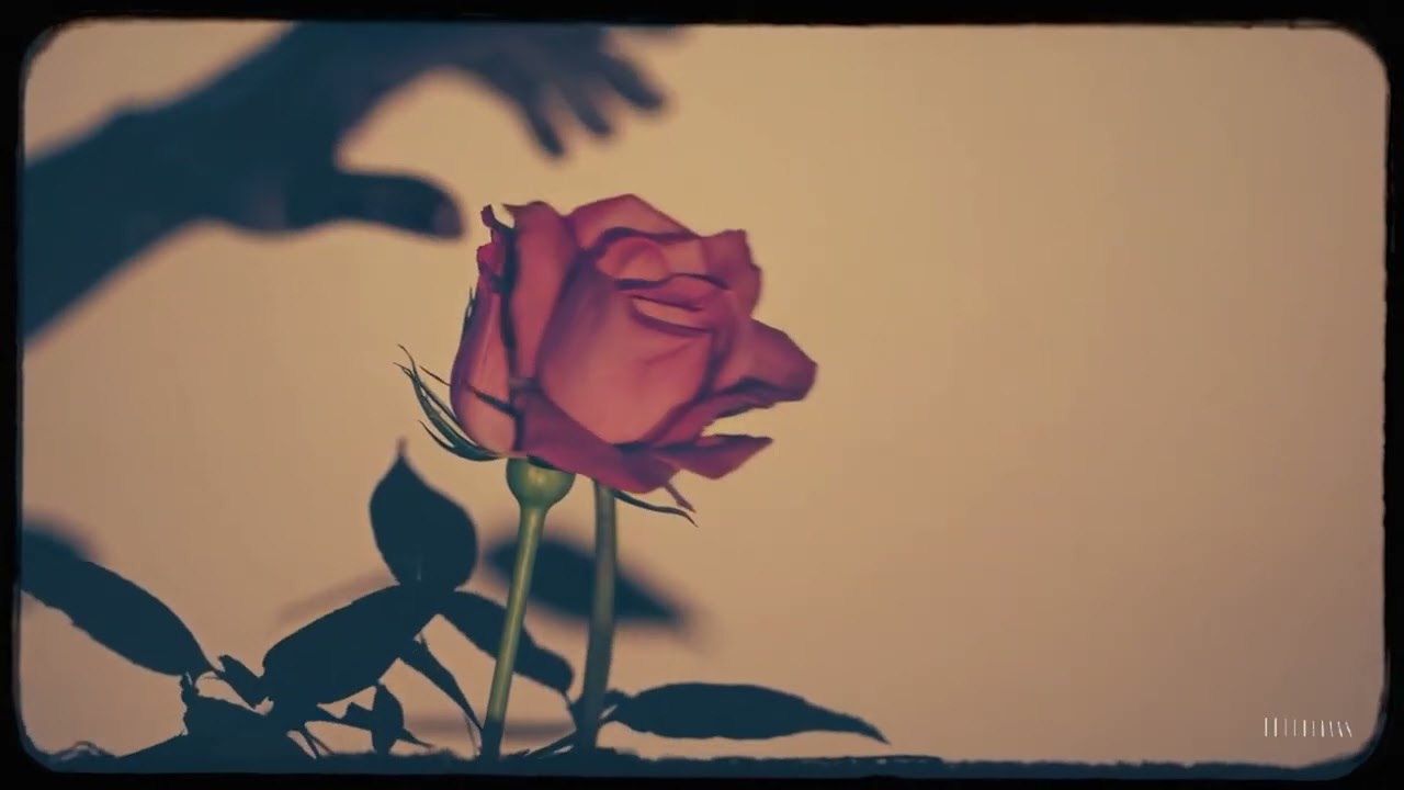 G&uuml;l Pembe &mdash; Melodic House Tribute to Barış Man&ccedil;o | Algorhythm Music