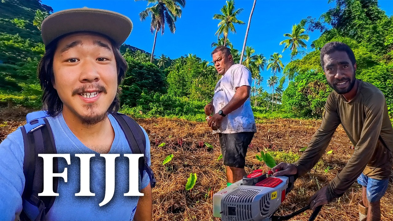 Посадка таро в фиджийской деревне 🇫🇯