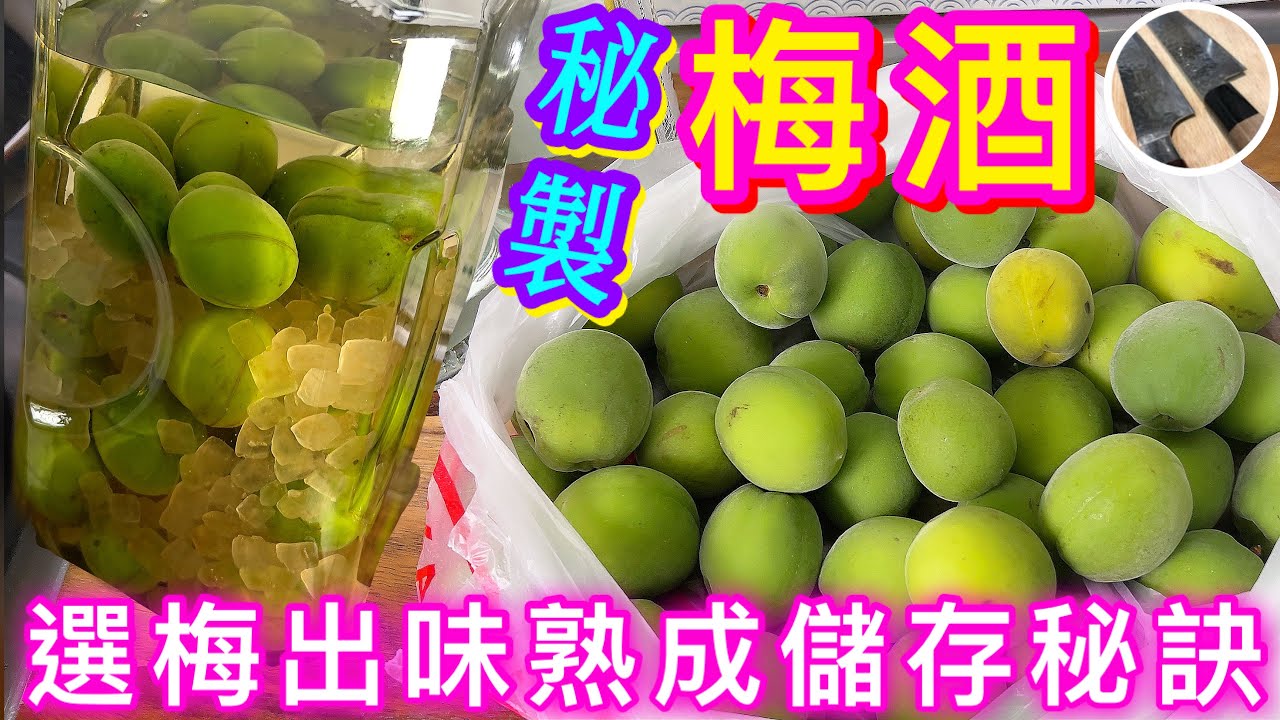 【梅酒釀製🥃】職人免失敗秘訣💠避免苦澀鹹酸🧡梅子選購篩選🍒免蒸煮消毒💜保留原味💚職人技巧⭐️