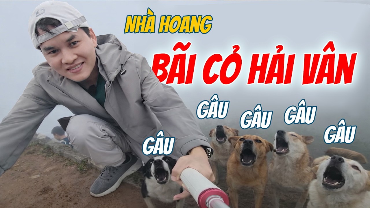 Bãi Cỏ Hải Vân Trong Sương Mù – Bất Ngờ Gặp Ngôi Nhà Hoang Bí Ẩn