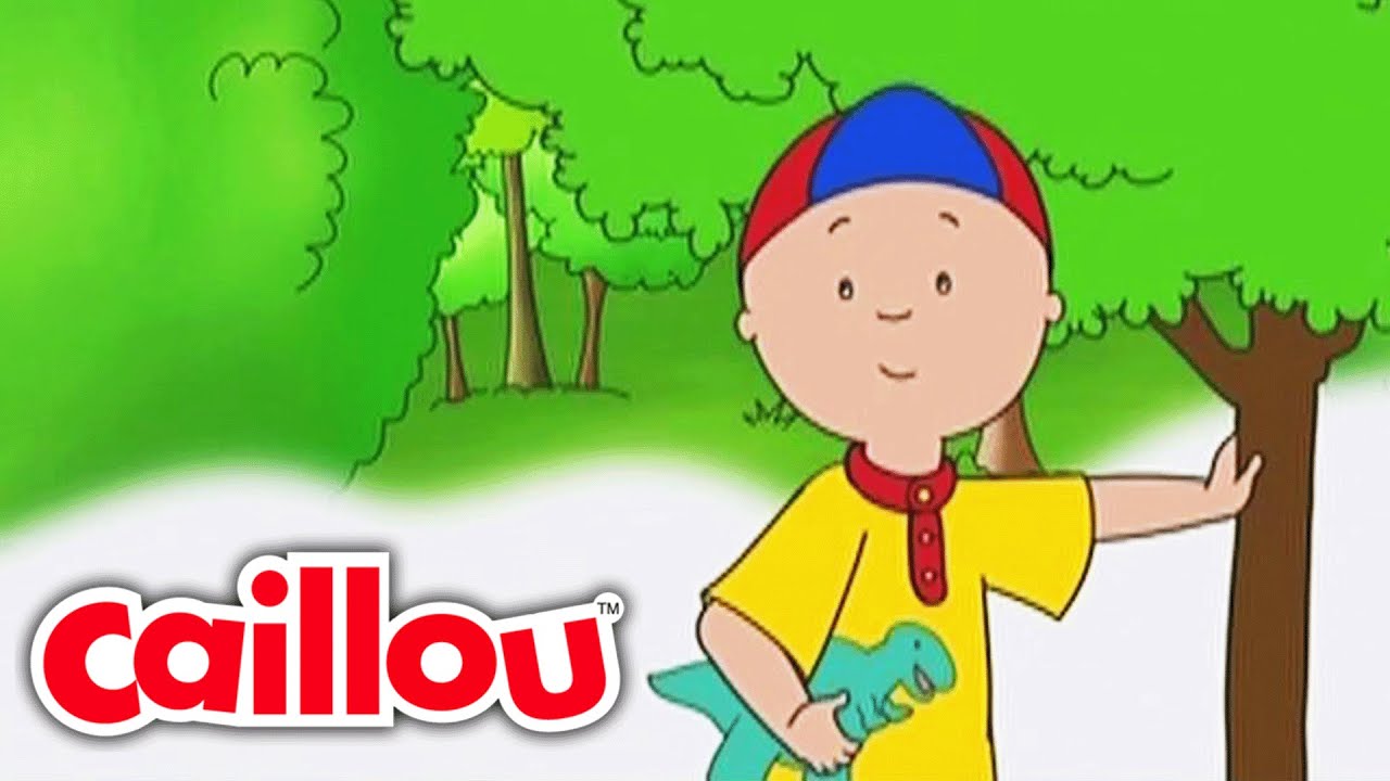 Caillou'nun Ağacı | Caillou Türkçe - WildBrain | Çocuklar İçin Filmler