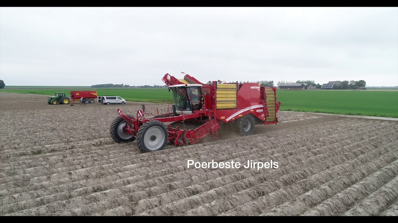 Ternaard Video V3 Short