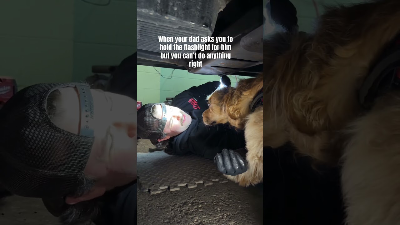 Вы делаете это неправильно.