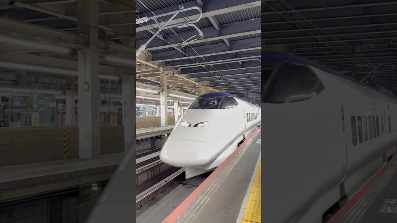 仙台発新潟経由インド行きのE3系L67編成　大宮にて　2025年5月28日　#鉄道 #train #回送列車 #新幹線 #e3系 #インド #india