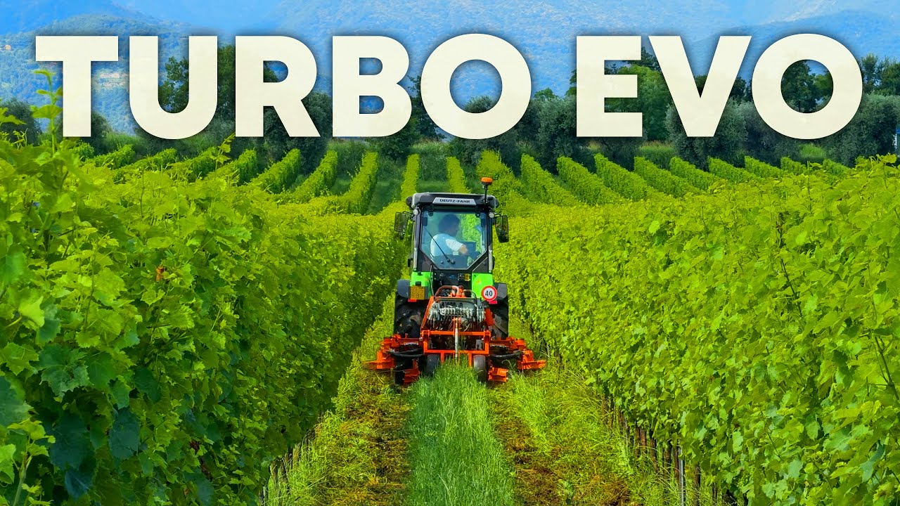 Lavorazione SOTTOCHIOMA del VIGNETO