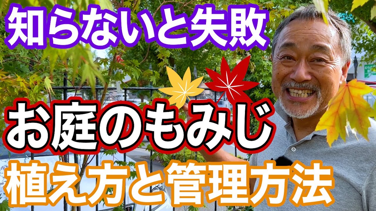 【〇〇しちゃ絶対ダメ】秋の代表格もみじ！植え方とお庭での楽しみ方をプロが解説！【庭木】【ガーデンデザイン】