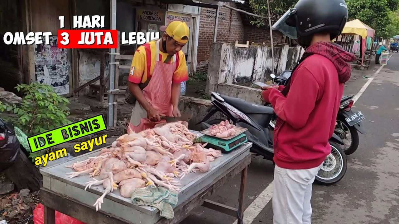 sehari omset 3 juta lebih | Jualan ayam potong atau ayam sayur | info usaha | ide jualan