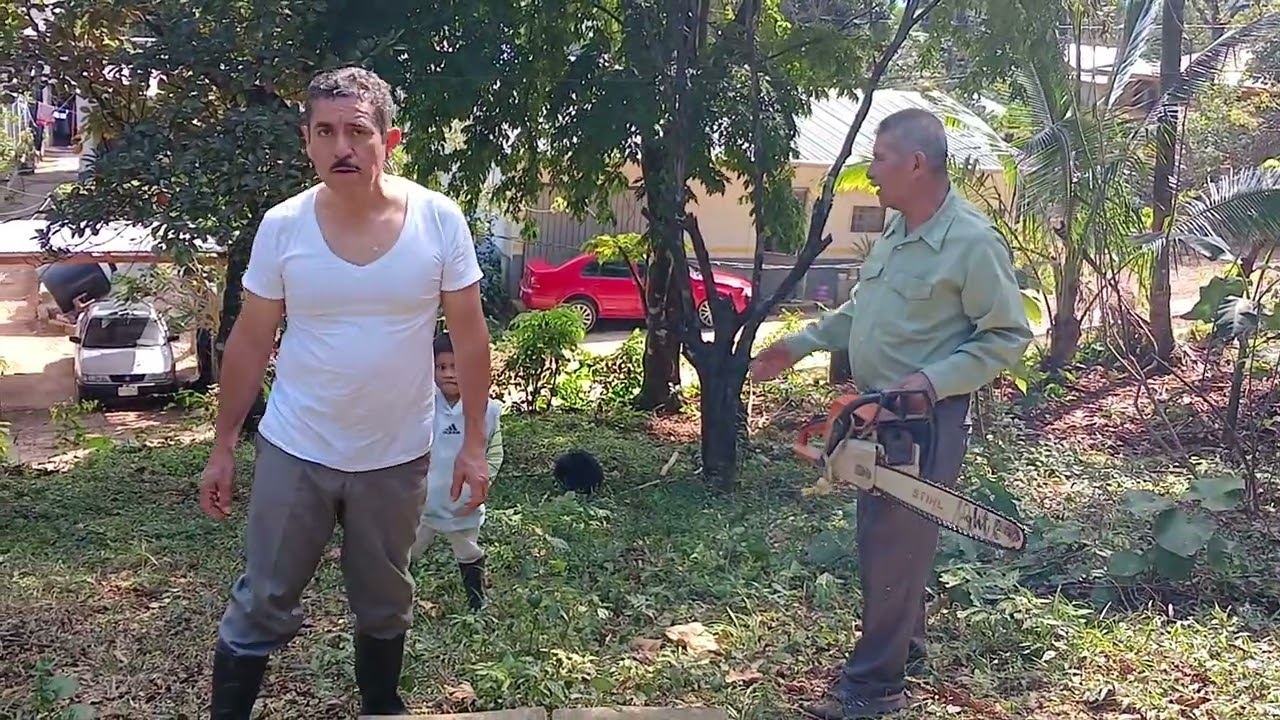Cortando con motosierra árboles🌳 caídos para despejar área para el huerto🌱