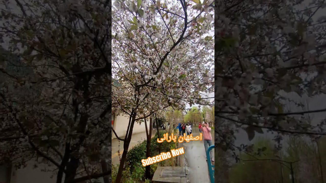 #isfahan #tour #travel