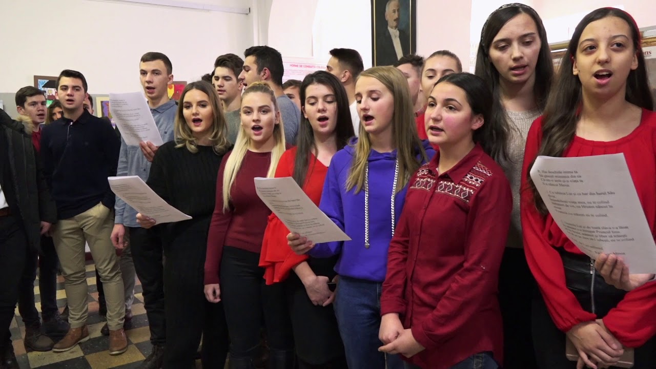 Flashmob 2018 - Colegiul Național Eudoxiu 