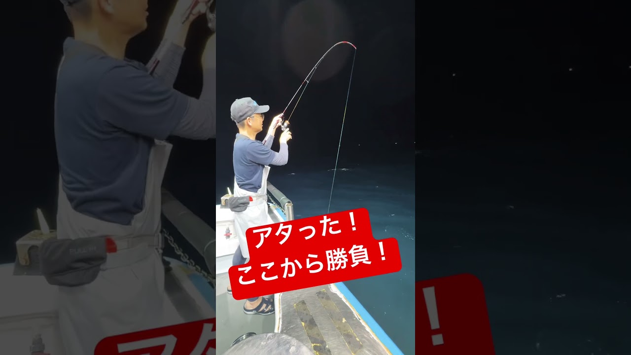 レバーブレーキリールしか勝たん‼️オモリグ中層攻略にレバーブレーキは必須❗️普通のリールにはもう戻れない‼️ #イカメタル #オモリグ #レバーブレーキ