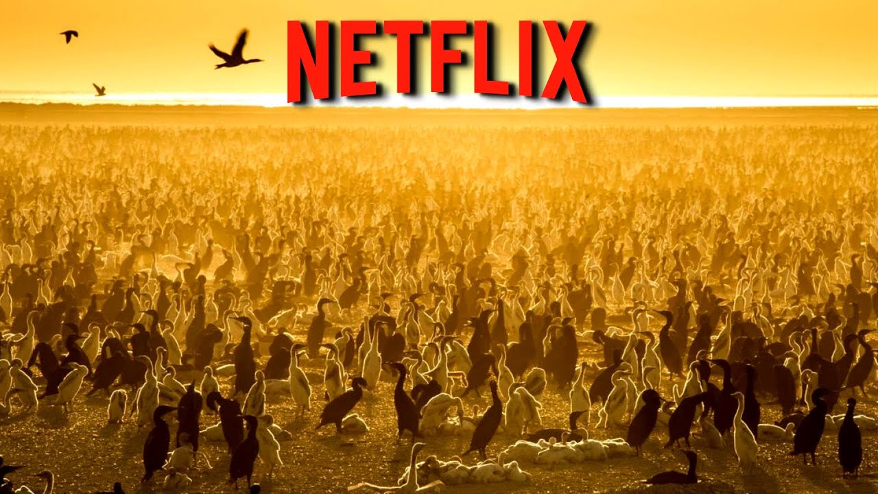 Top 5 Best DOCUMENTARIES on Netflix Right Now
