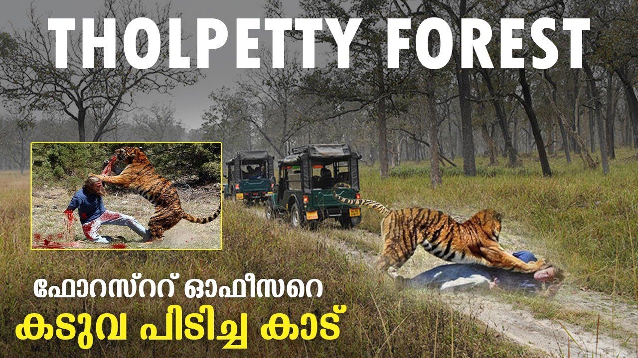 Tholpetty Wildlife Sanctuary Jeep Safari |  Wayanad Wildlife Sanctuary | Wayanad