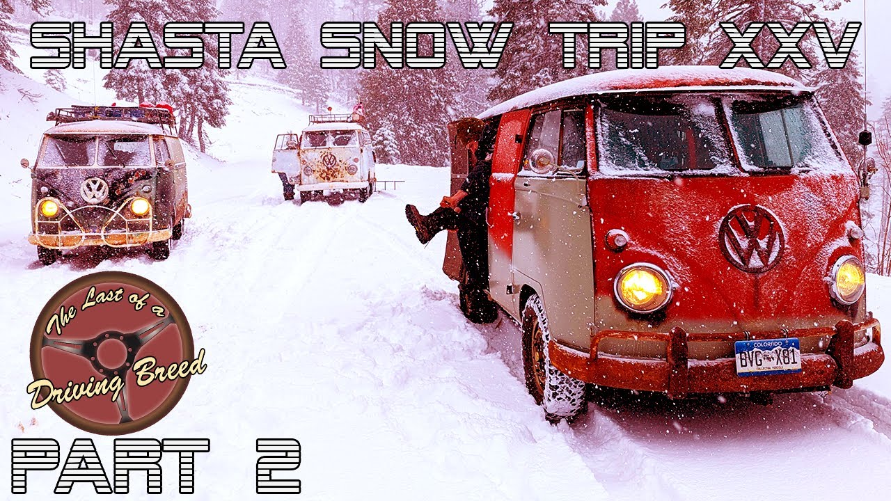 VW Bus Convoys through a California Winter Wonderland | Shasta Snow Trip XXV 2025 Part 2