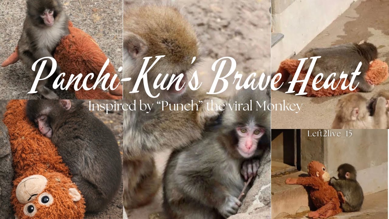 Panchi-Kun’s Brave Heart ~ Left2live ( Official Video Lyrics) inspired by “Punch” 