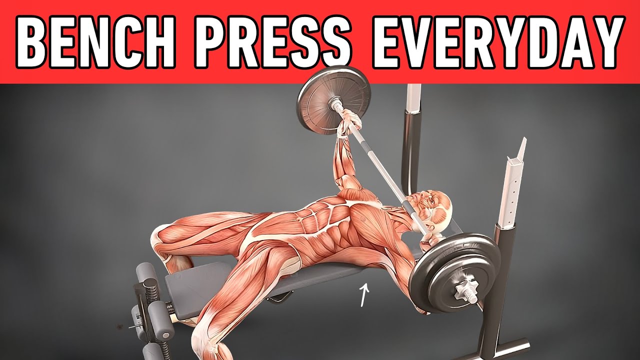 What Will Happen To Your Body If You Bench Press Every Day
