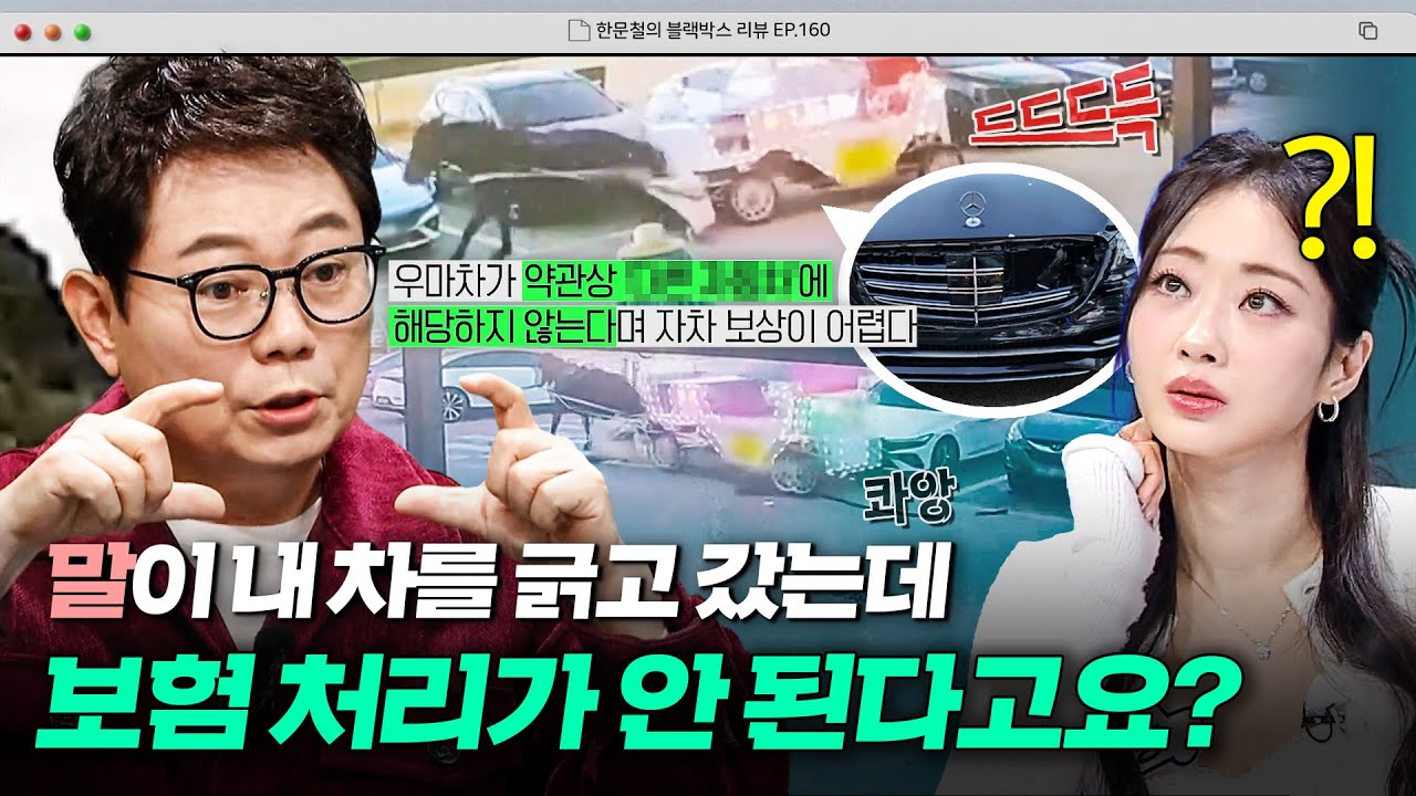 ※갑툭튀 주의※ 말이 뛰어와 차를 긁고 갔는데 보상이 안 된다는 보험사?🤷‍♂️ 보험 약관에서 꼭 체크해야 할 이것✔️｜한블리 (한문철의 블랙박스 리뷰)｜JTBC 260204 방송