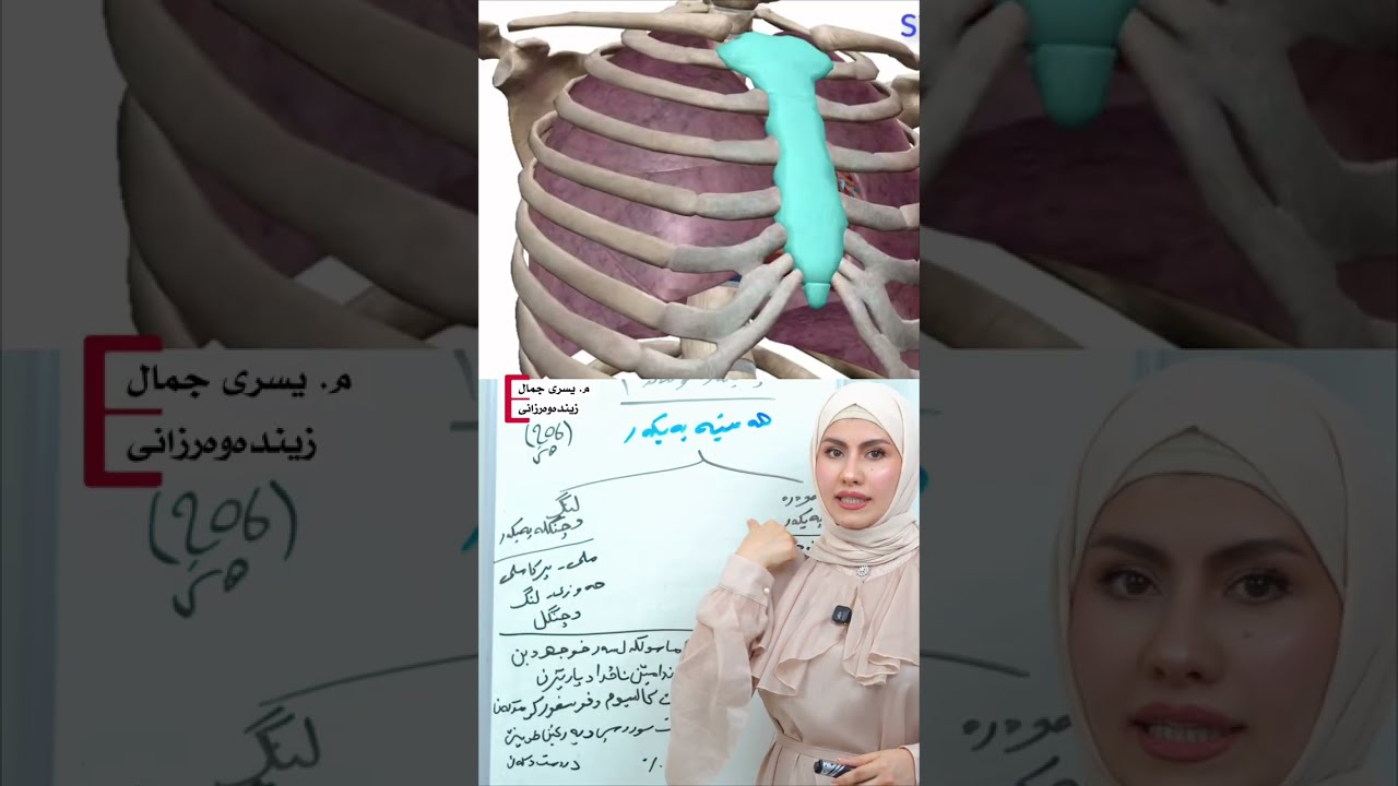 بابەت : زیندەوەر.  بەندێ ئیکێ : پشکا دوویێ  وانا دوویێ :هەستیە کوئەندام