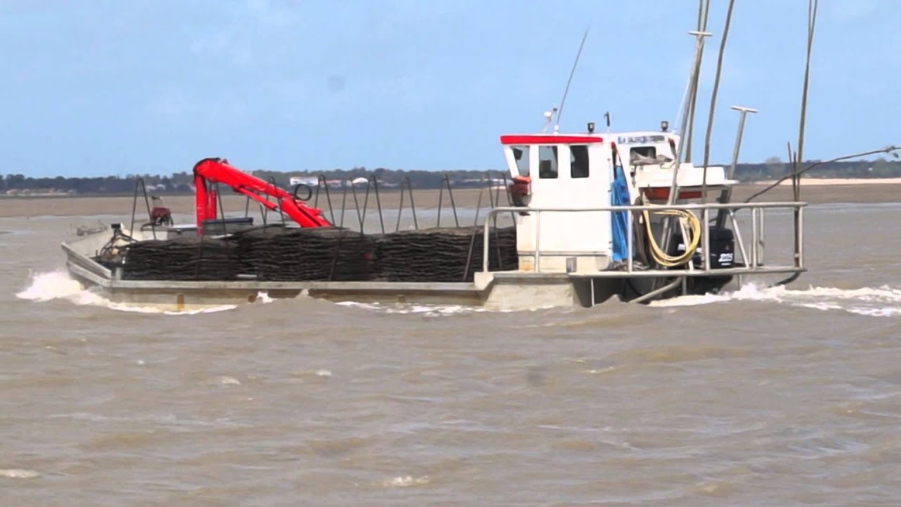 Oléron Ostréicole Un chaland qui rentre au port d'Arceau